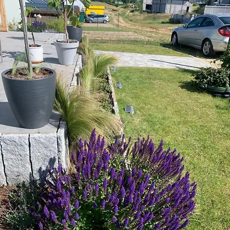 Albatrosa 17 - Nr 2 *