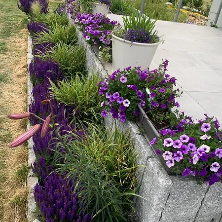 Albatrosa 17 - Nr 2 شقة *