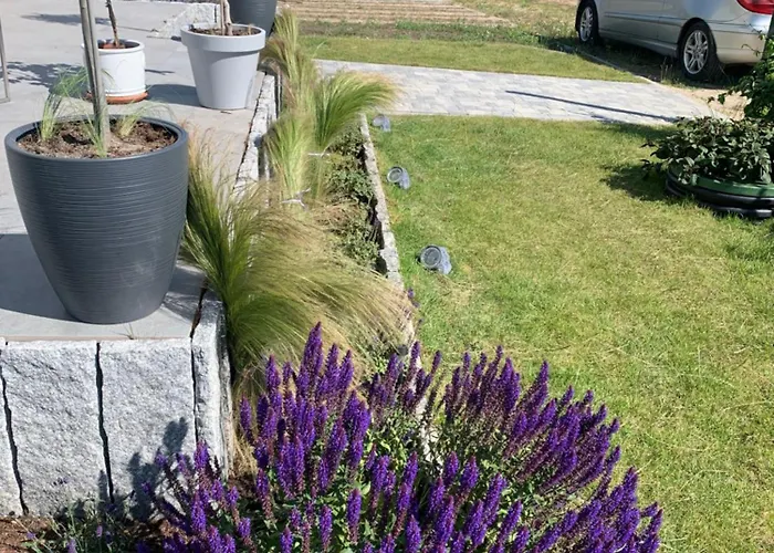 Albatrosa 17 - Nr 2 *