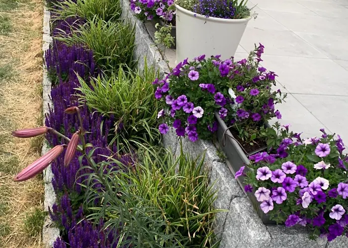 Albatrosa 17 - Nr 2 公寓 *